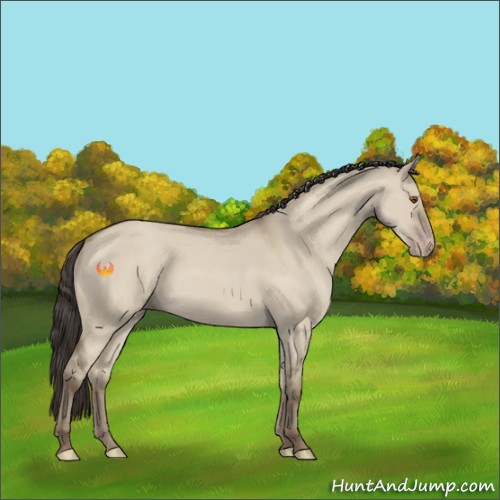 Horse Color:Classic Champagne Dun 