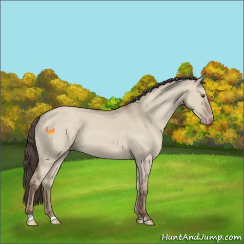 Horse Color:Classic Champagne Dun 