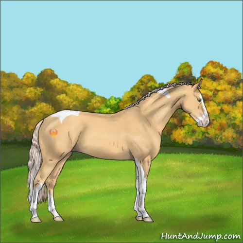 Horse Color:Gold Cream Champagne Splash Tobiano 