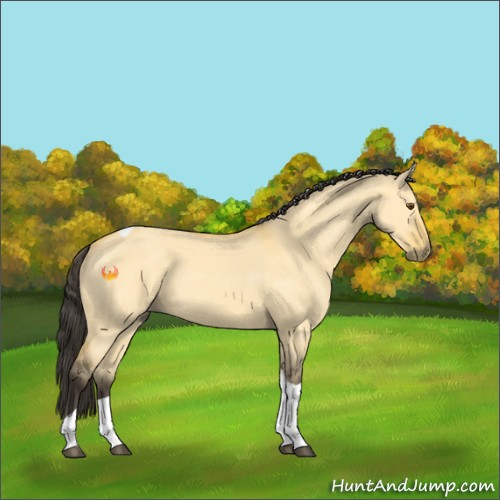 Horse Color:Buckskin Dun Tobiano 