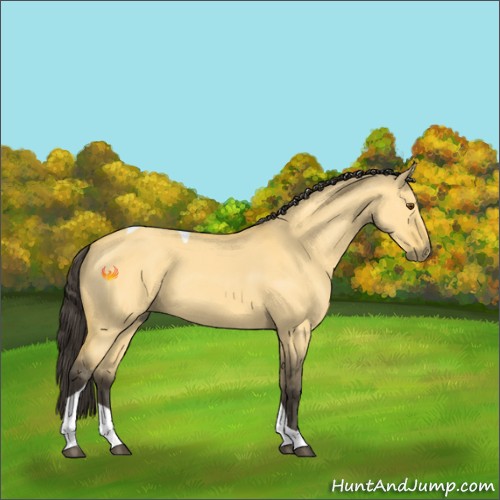 Horse Color:Buckskin Dun Tobiano 