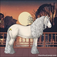 Horse Color:Cremello Splash  and Cremello Splash 