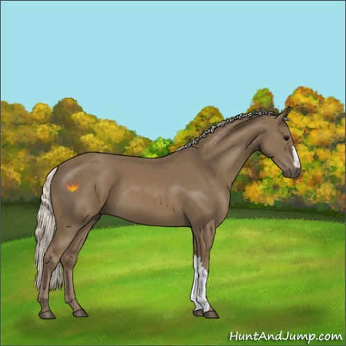 Horse Color:Silver Smoky Black