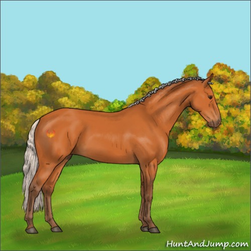 Horse Color:Silver Buckskin 