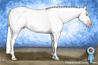 Horse Color:Gray Silver Amber Champagne