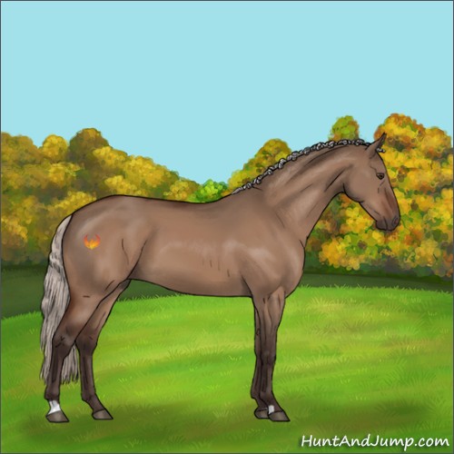 Horse Color:Silver Brown Dun 