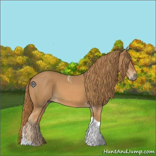 Horse Color:Chestnut Tobiano