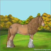 Horse Color:Chestnut Tobiano 