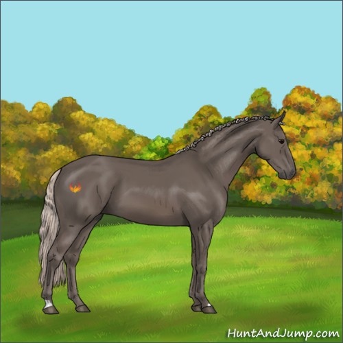 Horse Color:Silver Black