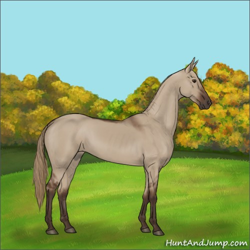 Horse Color:Liver Red Dun Rabicano