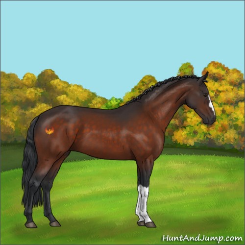 Horse Color:Brown 