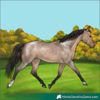 Horse Color:Brown Roan Dun Sabino 