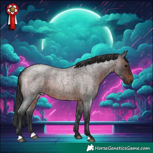 Horse Color:Brown Roan 