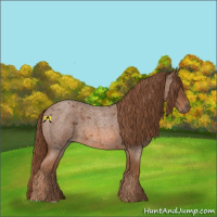 Horse Color:Red Roan 