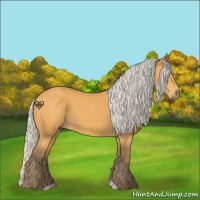Horse Color:Silver Buckskin 