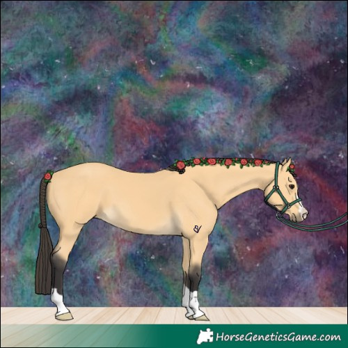 Horse Color:Buckskin 