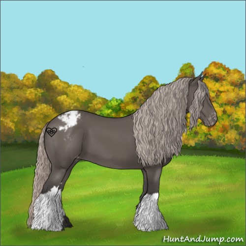 Horse Color:Silver Black Appaloosa 