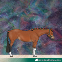 Horse Color:Bay Tobiano 