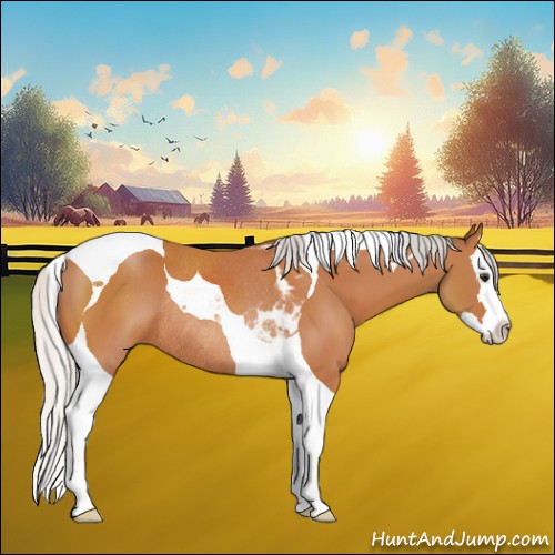 Horse Color:Silver Bay Sabino Splash Tobiano Rabicano 