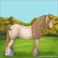 Horse Color:Red Roan Pearl 