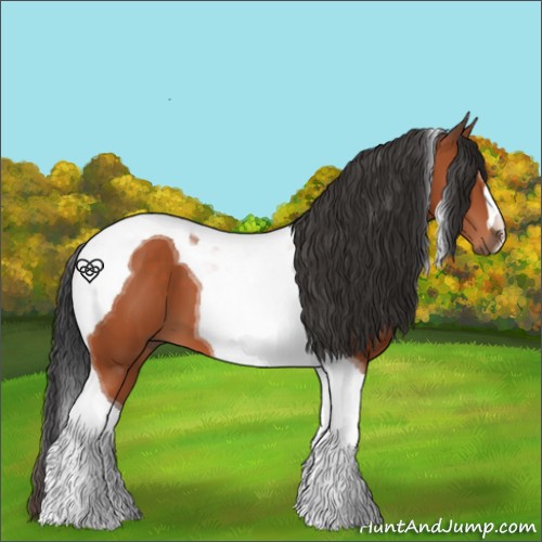 Horse Color:Bay Tobiano 