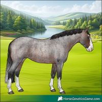 Horse Color:Brown Roan Splash 