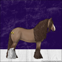 Horse Color:Liver Red Dun