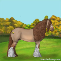 Horse Color:Red Dun 