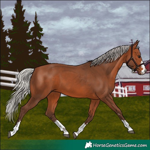 Horse Color:Silver Brown