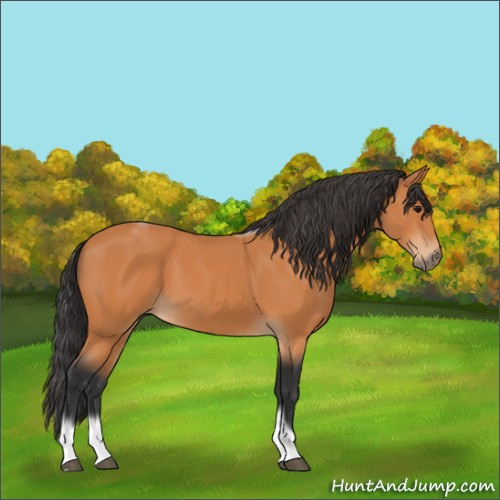 Horse Color:Bay Tobiano Frame 