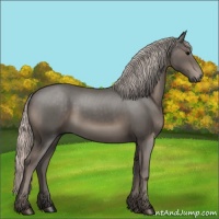 Horse Color:Silver Black 