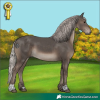 Horse Color:Silver Black 
