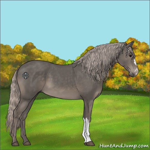 Horse Color:Silver Black 