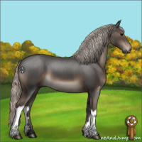 Horse Color:Silver Black 