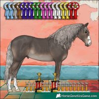 Horse Color:Silver Black 