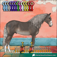 Horse Color:Silver Black