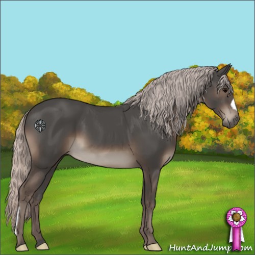 Horse Color:Silver Black 