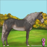 Horse Color:Silver Black 