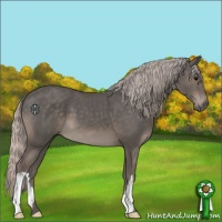 Horse Color:Silver Black 