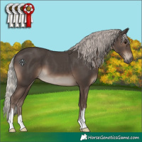Horse Color:Silver Black 