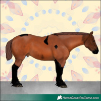 Horse Color:Void Chocolate Bay Sabino Tobiano
