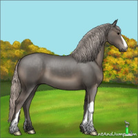 Horse Color:Silver Black 