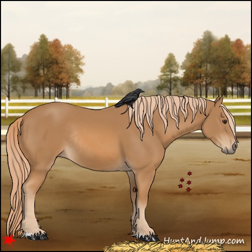 Horse Color:Chestnut Rabicano 