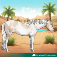 Horse Color:Gray White Spotted Silver Sable Cream Champagne Pearl Tobiano 