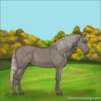 Horse Color:Silver Grullo 