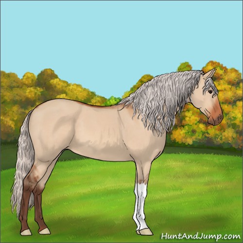 Horse Color:Silver Bay Dun 