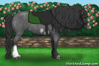 Horse Color:Blue Roan Tobiano Frame 