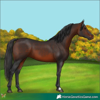 Horse Color:Brown 