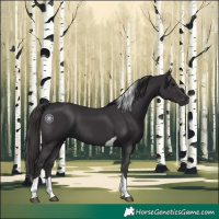 Horse Color:Smoky Black Tobiano 