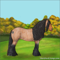 Horse Color:Bay Roan 